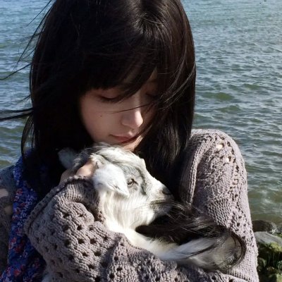 龙吟诏